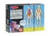Human Anatomy image