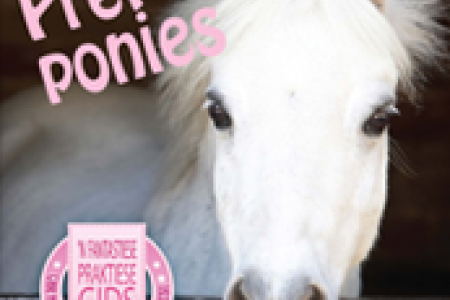 Pret met ponies picture 3102
